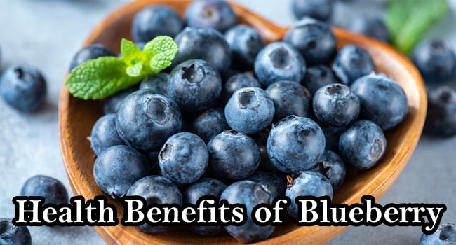 _Health Benefits of Blueberry