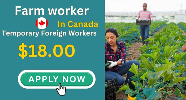 Farm Supervisor Jobs in Canada