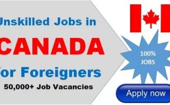 Top high-salary jobs in Canada